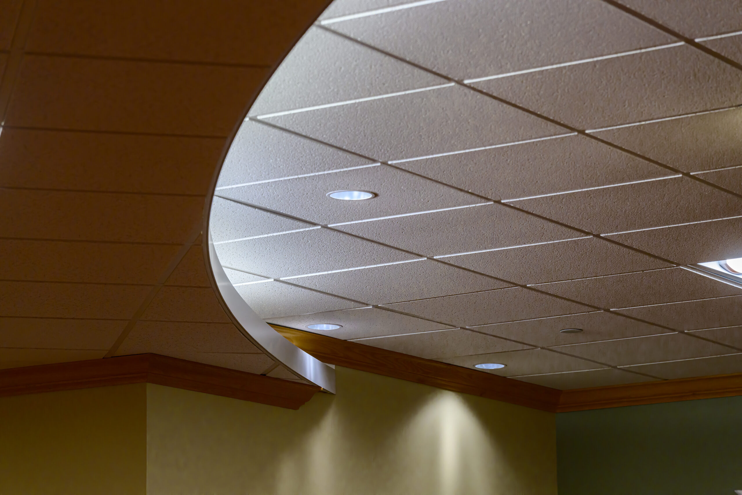 Suspended ceiling and lighting sets off this office space in Upstate NY.